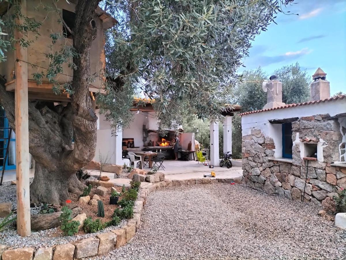 Bed and Breakfast Sole In Ogliastra Jerzu Exterior foto