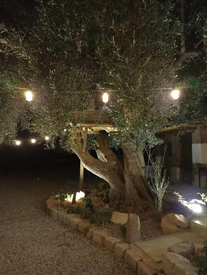 Bed and Breakfast Sole In Ogliastra Jerzu Exterior foto